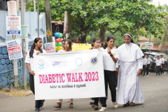 World Diabetic Day - Diabetic Walk Camp